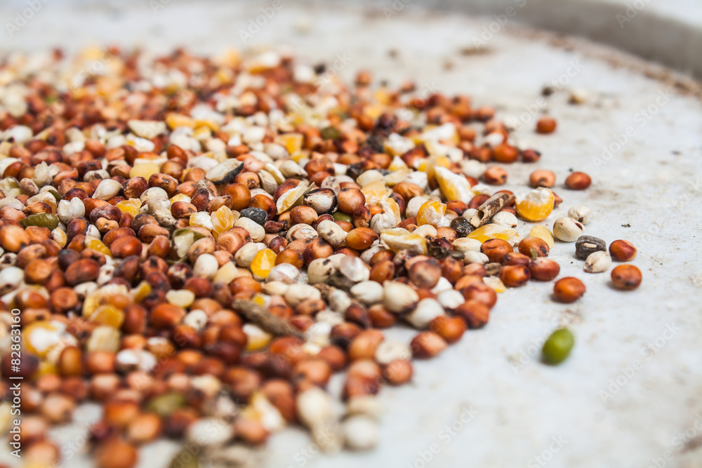 Mixed Wheat and Grain for Bird Feed Mixed Wheat and Grain for Bird Feed