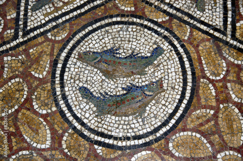 mosaic of two fishes