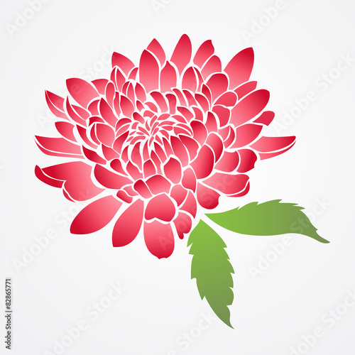 vector of isolated red chinese flower