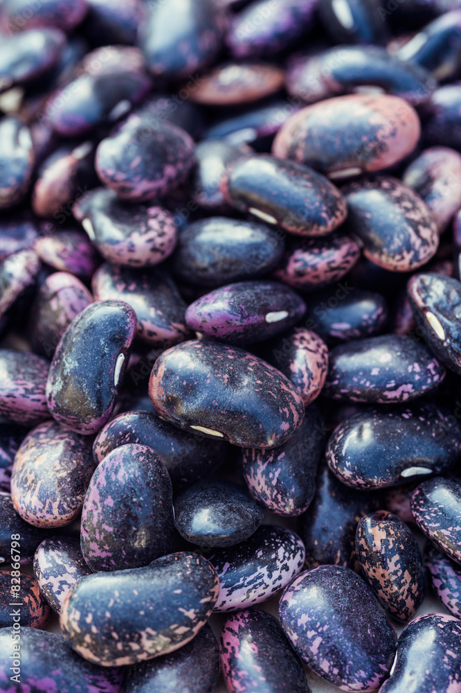 Purple beans on white background close up Purple beans on white background close up