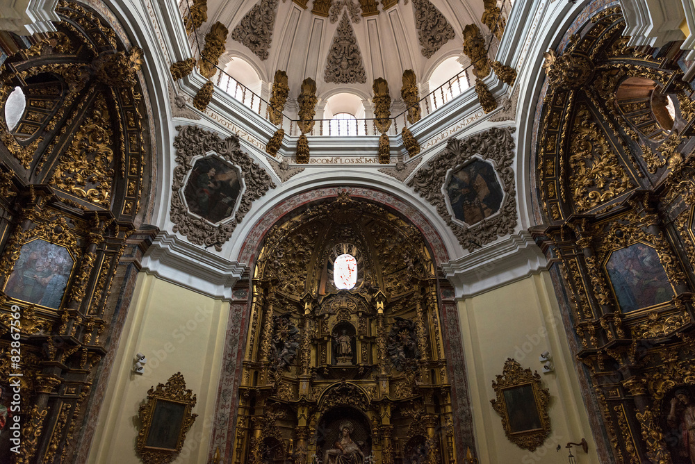 Side chapel in the Colegiata de San Antolin, Medina