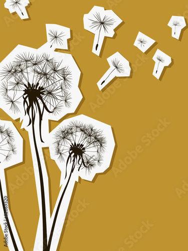 silhouette of dandelion in the wind
