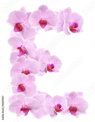letter E from orchid flowers