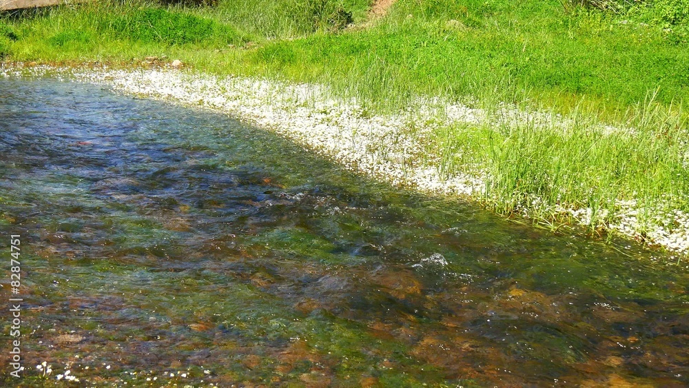 River bank, fresh water stream (4K) River bank, fresh water stream (4K)