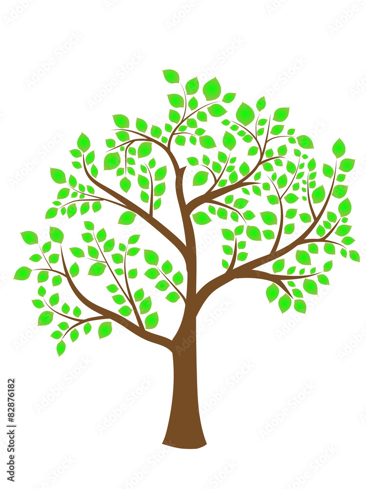 the image of a tree with green foliage the image of a tree with green foliage