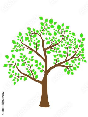 the image of a tree with green foliage