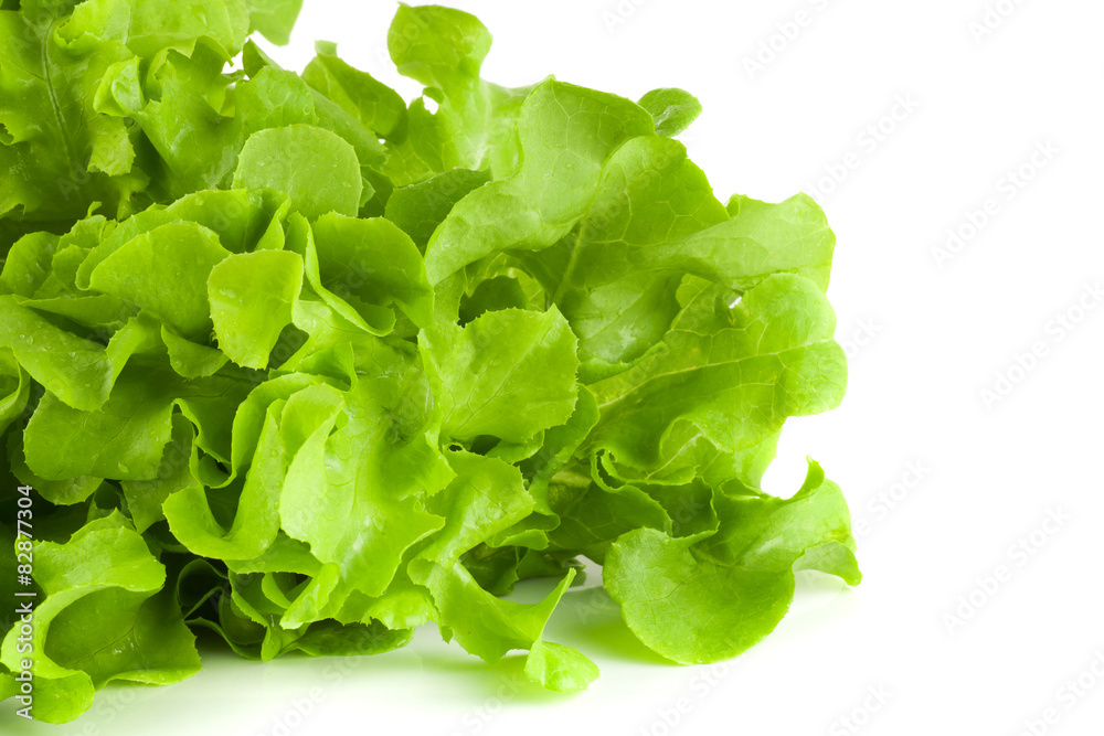 green salad isolated on a white background green salad isolated on a white background