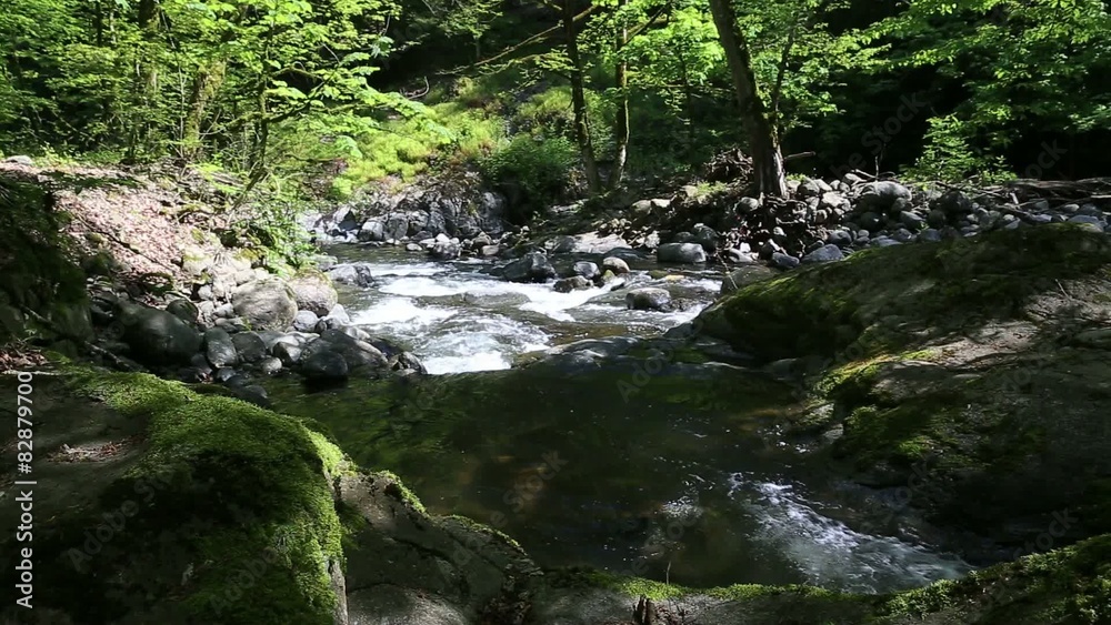 River in Hirkan national park in Lankaran Azerbaijan River in Hirkan national park in Lankaran Azerbaijan
