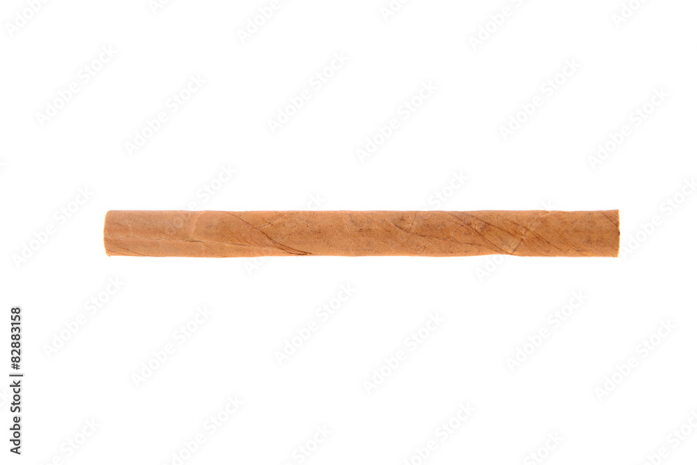 Cigars on White Background Cigars on White Background