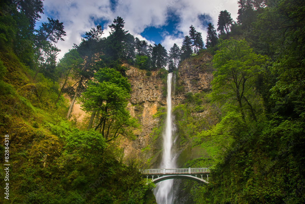 Multnomah Falls and bridge, in the Columbia River Gorge, Oregon. Multnomah Falls and bridge, in the Columbia River Gorge, Oregon.