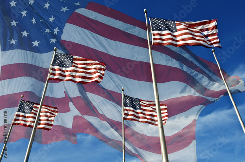 American flags photo
