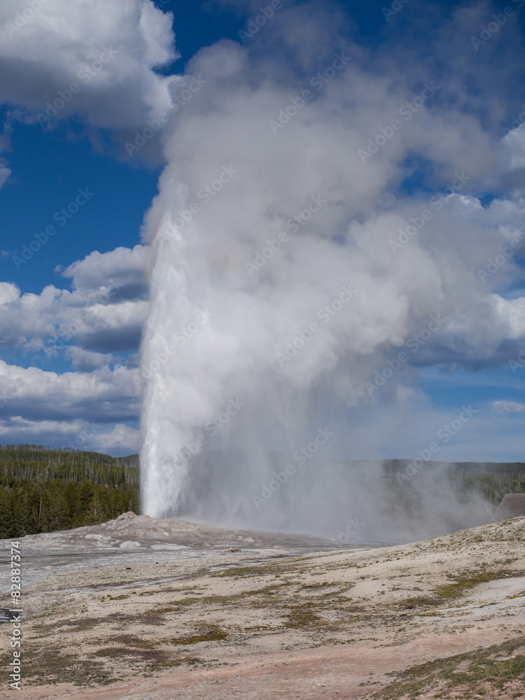 Fototapeta premium Old Faithful Geyser