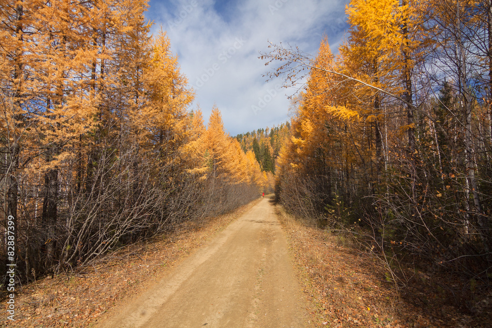 Autumn, October in eastern Siberia