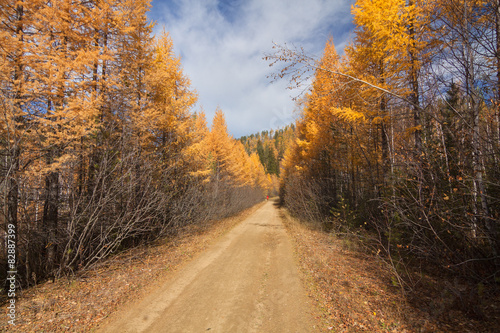 Autumn  October in eastern Siberia