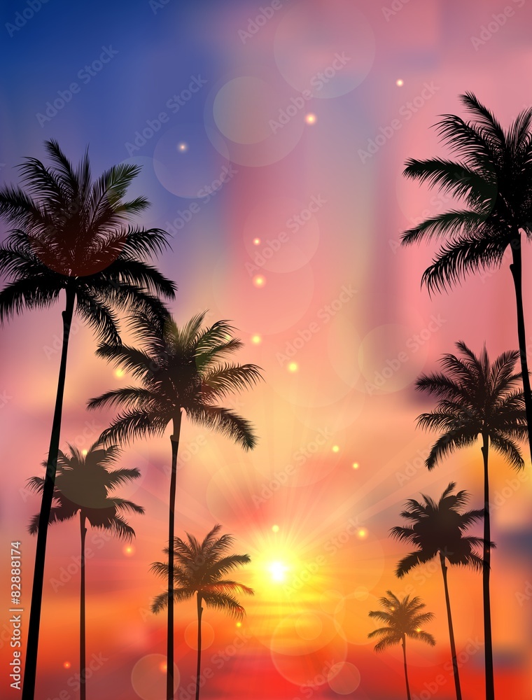 Silhouette of palm tree when of sunset