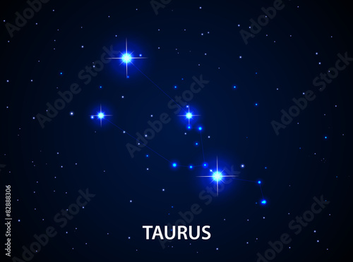 Set of Symbol Zodiac Taurus