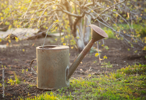 Old watering can in garden.