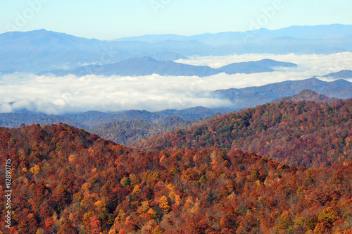 fall foliage Blue Ridge Parkway scenic drive
