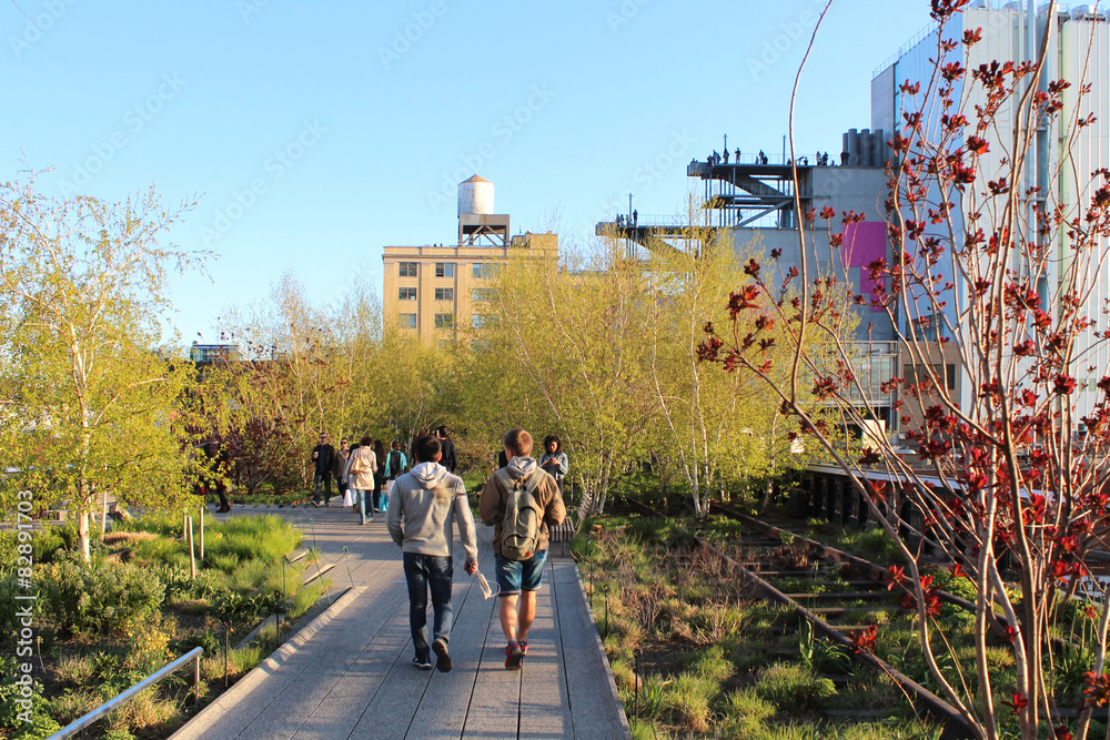 Fototapeta premium New York City / High Line Walkway