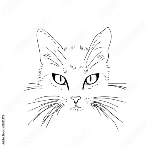 Cat  face. Black and white sketch.