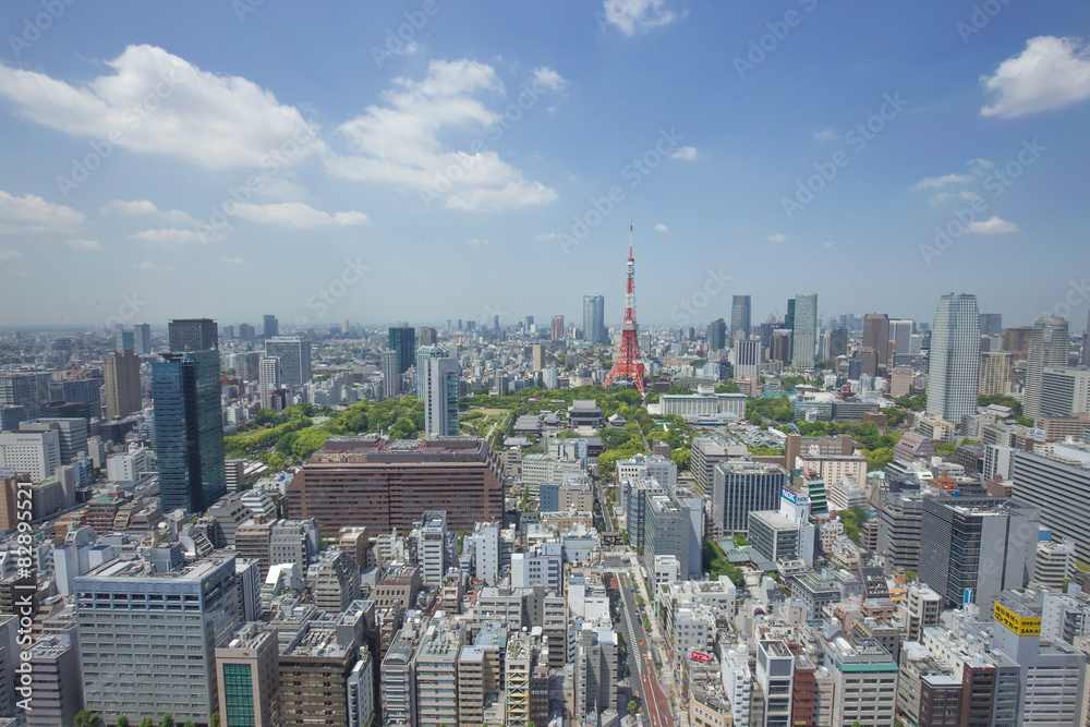 Naklejka premium 東京タワーを遠景に臨むを望む都市景観