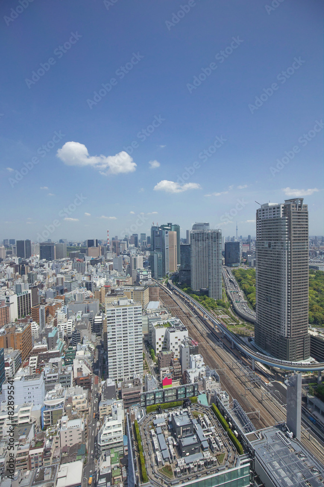 Naklejka premium 東京 汐留方面の眺め