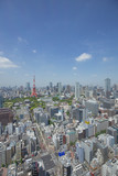 東京タワーを遠景に臨む