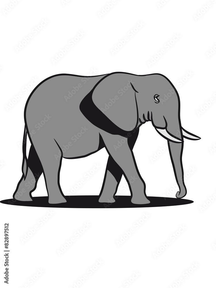 Fototapeta premium Elephant animal Africa