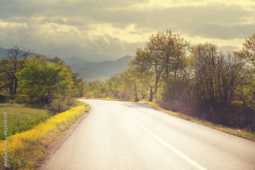 Fototapeta premium Road in field