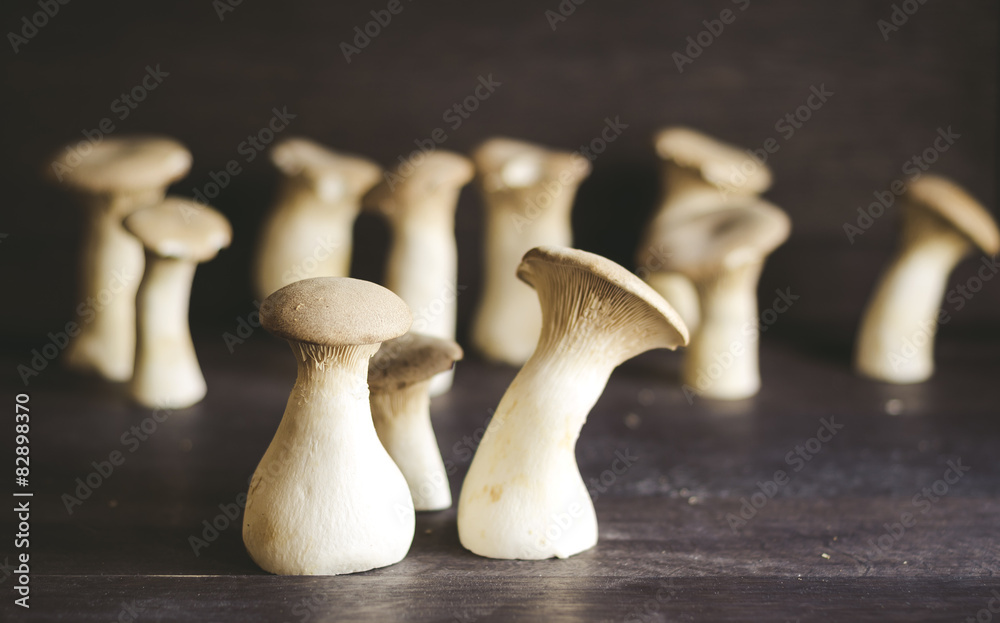 Mushroom Boletus over Wooden Background. Autumn Cep Mushrooms Mushroom Boletus over Wooden Background. Autumn Cep Mushrooms