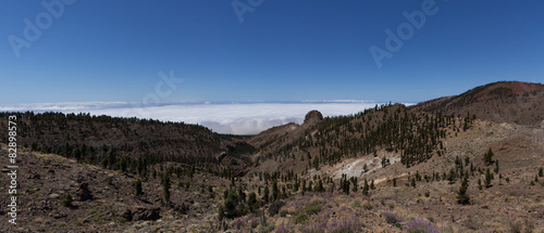 Mountain Landscape Panorama - forest above clouds
