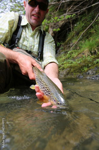 Fototapeta Naklejka Na Ścianę i Meble -  Fisherman releasing recently caught brown trout