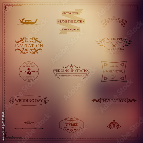 Vector design elements and calligraphic page decorations for wed