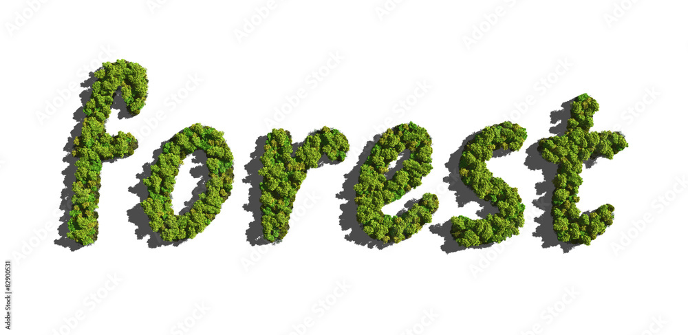 forest create by tree white background