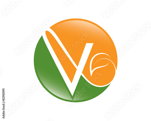 V Logo Template photo