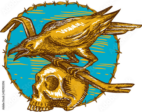 Crow Perching Crowbar Skull Barbed Wire Drawing