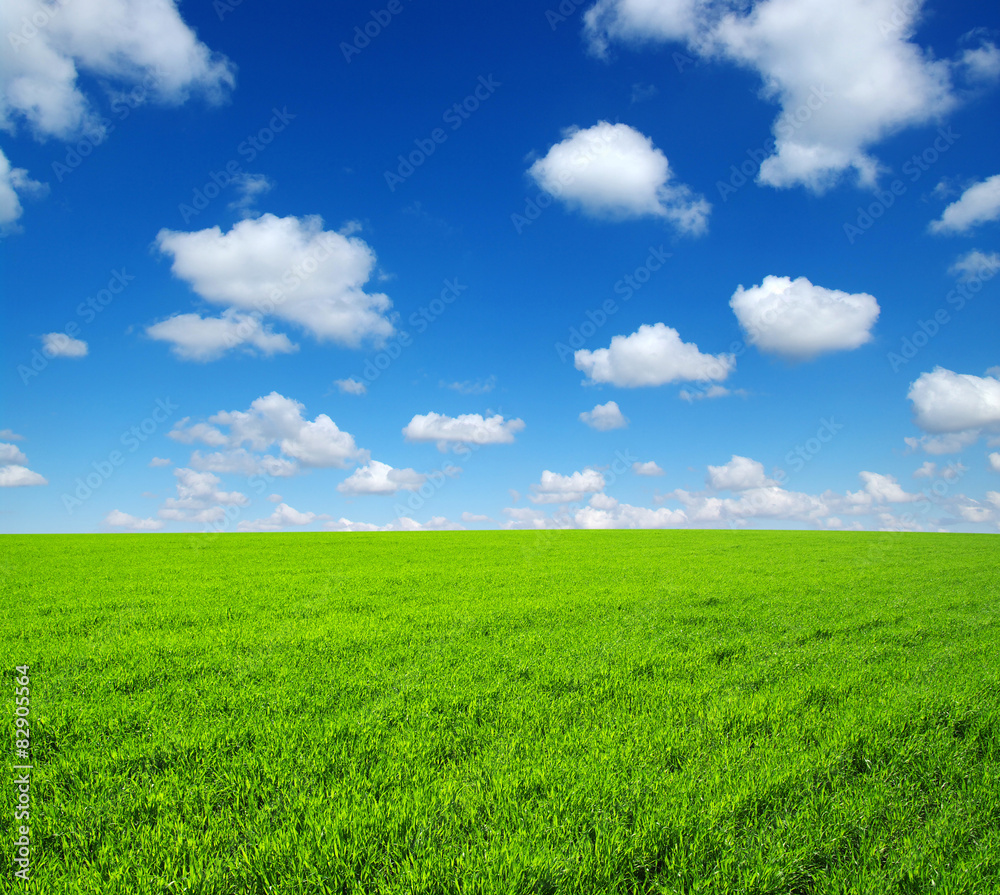 field field