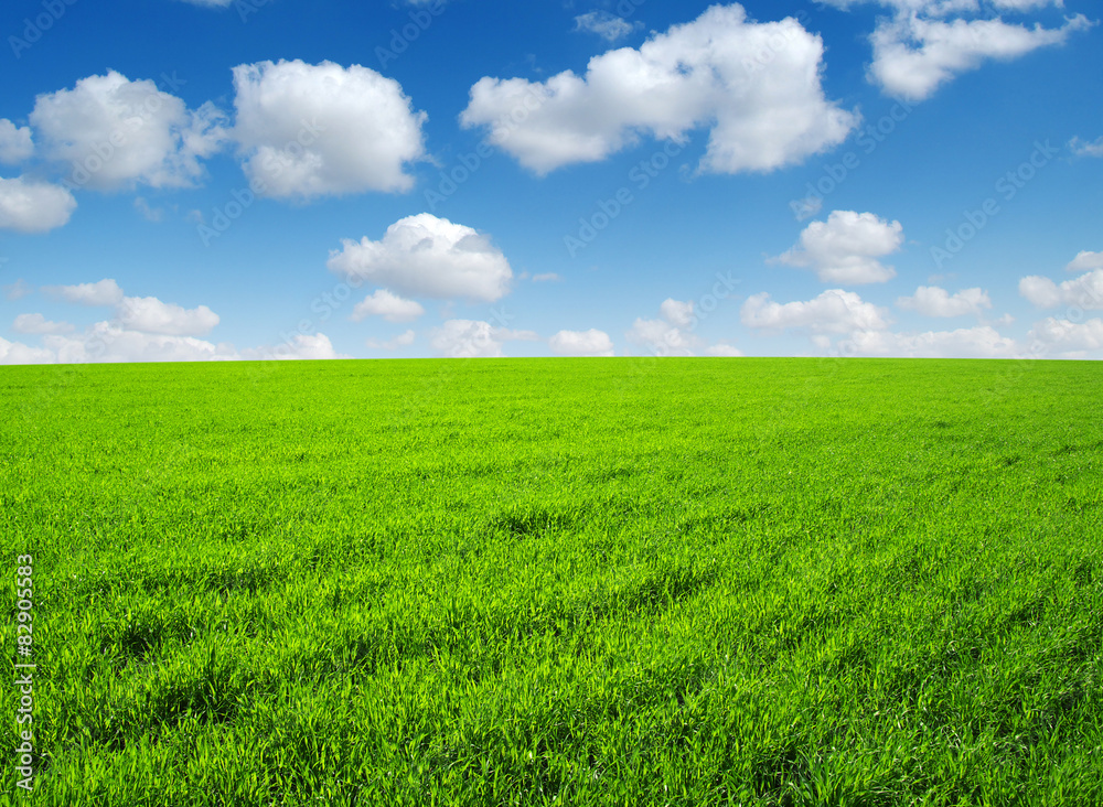 field field