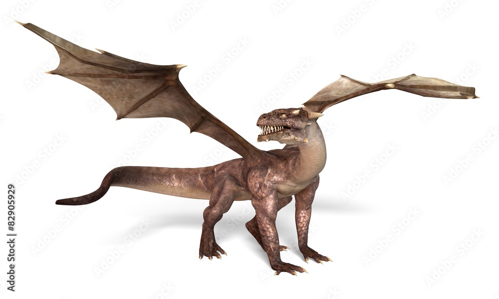 Fantasy Dragon Fantasy Dragon
