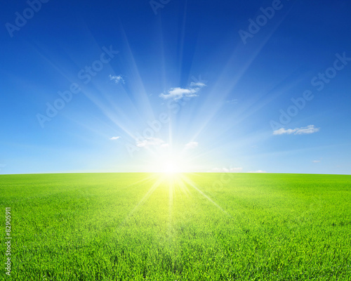 Fototapeta Naklejka Na Ścianę i Meble -   field and sun