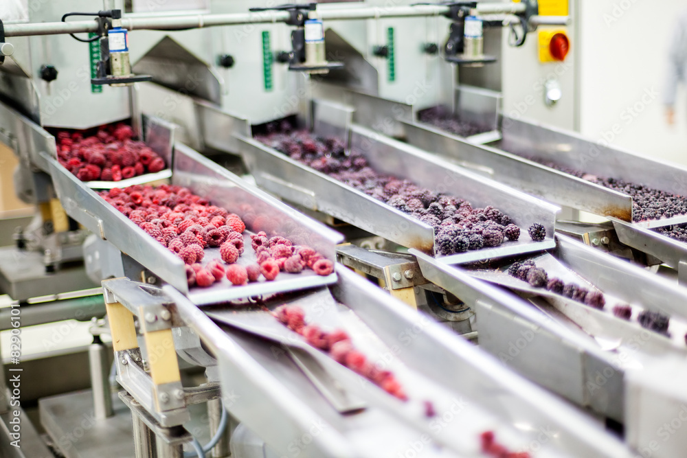 frozen raspberry processing business