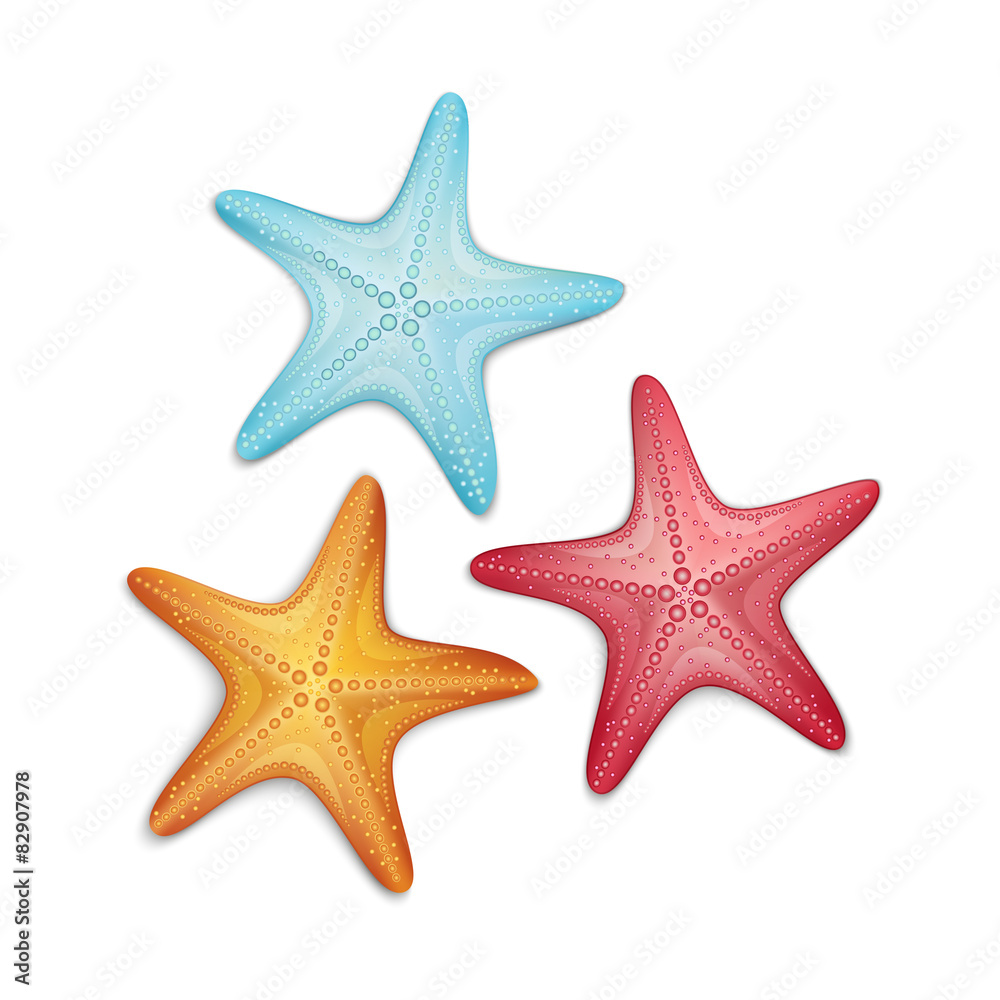 Starfish isolated on white background Starfish isolated on white background