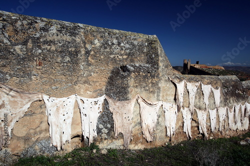 AFRICA MOROCCO FES photo