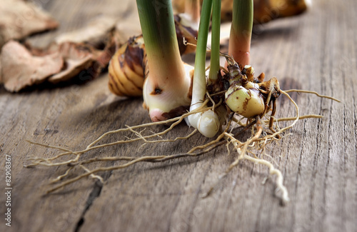 rhizome of galangal on old wooden table