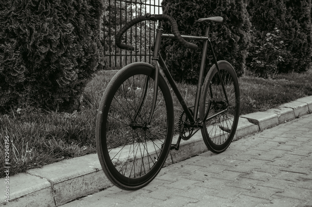 Black and white Bicycle