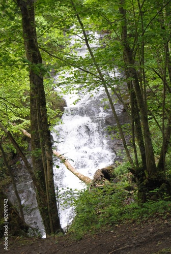 cascade du mont paradis photo