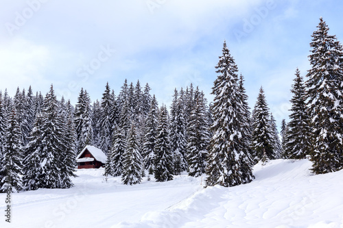 Winter holiday house in slovenia alps © Kavita