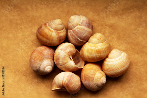 Shells of grape snails