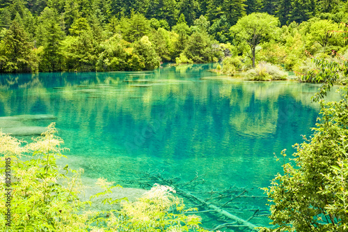 夏の九寨溝