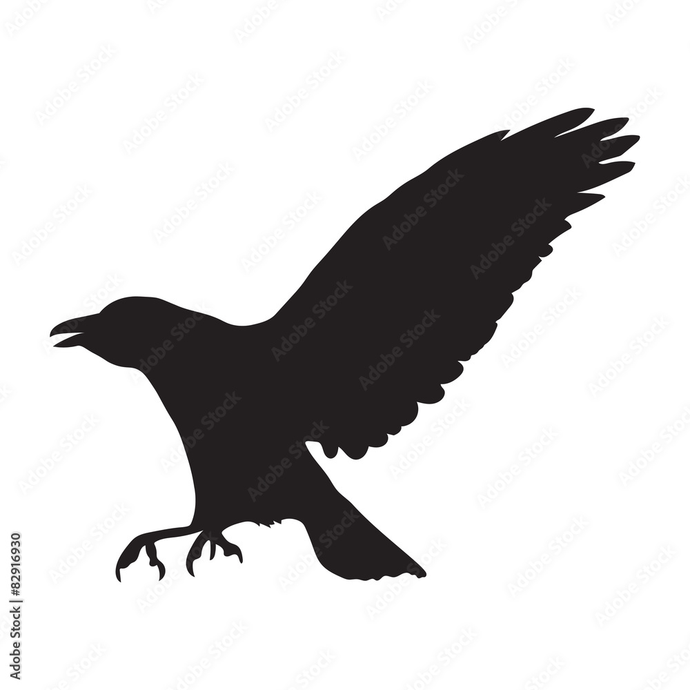 Fototapeta premium vector silhouette of raven